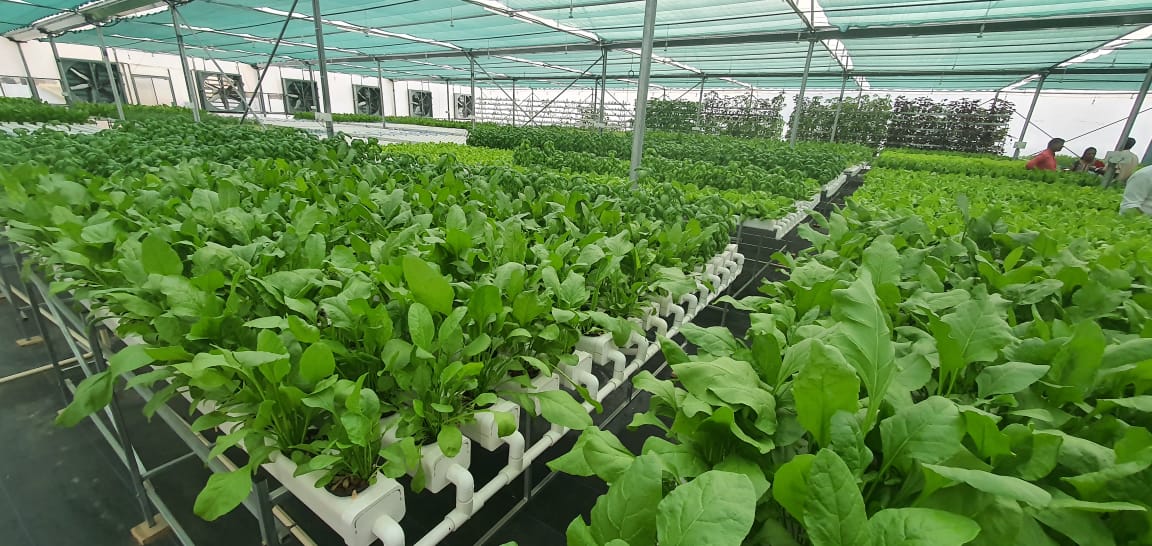 Farm enRoll